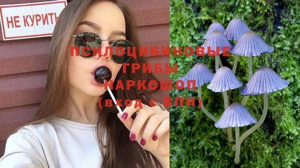 spice Балабаново