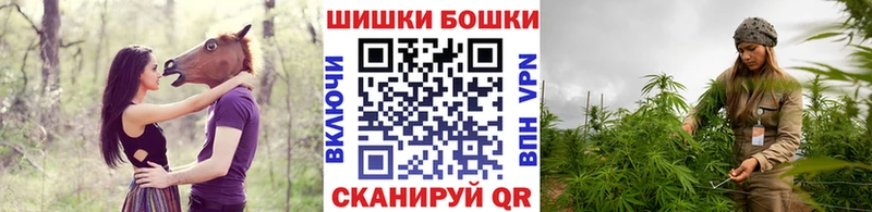 Каннабис MAZAR  Звенигово 